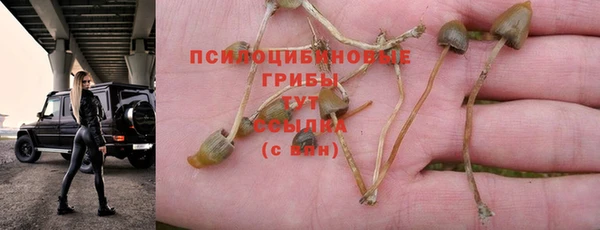 эйфоретик Волоколамск