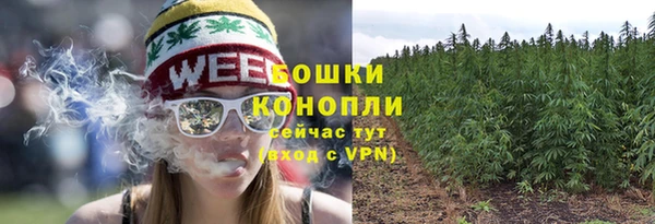 эйфоретик Волоколамск