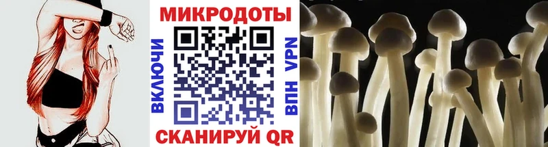 Купить  Нягань  Галлюциногенные грибы прущие грибы 